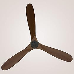 CLUGOJ Ceiling Fan, Outdoor Ceiling Fan with Remote