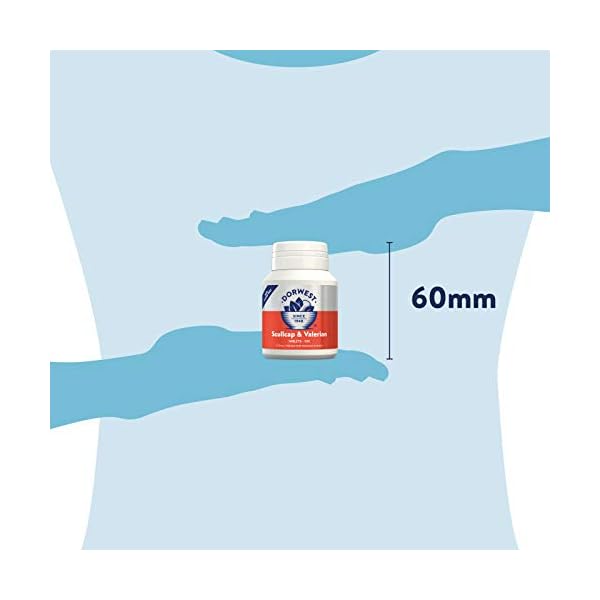 Dorwest-Herbs-Scullcap-Valerian-Tablets-100-tablets Dorwest Herbs Scullcap & Valerian Calming Tablets for Dogs and Cats, 100 Tablets, Natural Dog Calming Supplements for…