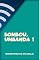 Livro Bombou, Umbanda!: Crônicas Diárias nas Redes Sociais