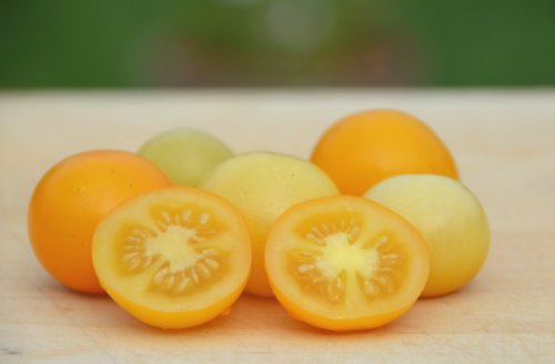 Super Snow White Cherry Tomato Seeds- Organic- Rare Heirloom- 50+ Seeds Super Snow White Cherry Tomato Seeds- Organic- Rare Heirloom- 50+ Seeds