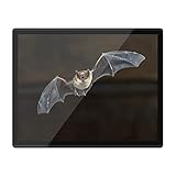 Quickmat Plastic Mousemat 8x10 - Pipistrelle Gothic