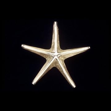 Starfish Door Knocker - Antique Brass