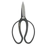 Kotobuki Nagaba Flower Arranging Shears