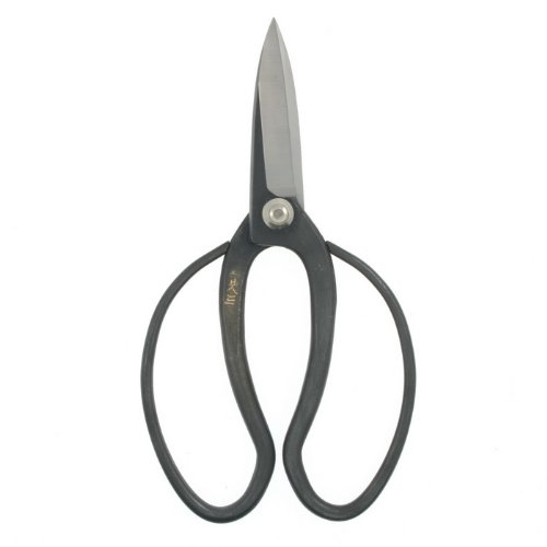 Kotobuki Nagaba Flower Arranging Shears