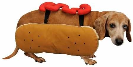Otis and Claude Fetching Fashion Hot Diggity Dog Costume Ketchup Medium