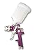Central Pneumatic 47016 High Volume Low Pressure Gravity Feed Spray Gun, 20 oz primary
