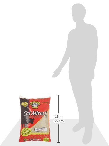 Precious Cat Cat Attract Problem Cat Training Litter, 40 pound bag, Package may vary