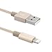 aLLreLi 6.6ft Lightning Sync & Charge USB Cable with Nylon Braided, Design with iOS 9 for iPhone 6S, 6, 6 Plus, 5S, 5C, 5, iPad 4, iPad Air 2, Mini 3, iPod 5th - Gold
