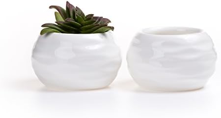 T4U 3.75 Inch Ceramic White Drum Shape Square succulent Plant Pot/Cactus Plant Pot Flower Pot/Container/Planter Package 1 Pack of 2