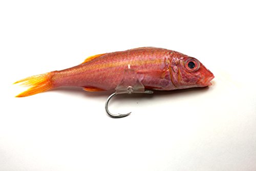 N3-Bait-Harness N3-Bait-Harness