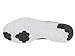 Nike Men's FS Lite Run 4 Running Shoe Black/White/Anthracite/Cool Grey 12