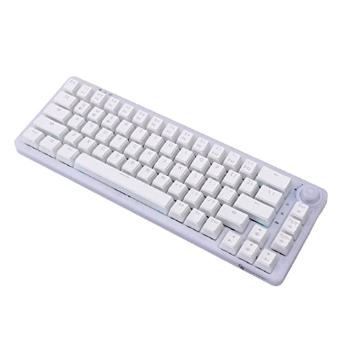 GK GAMAKAY LK67 65% RGB Pudding Mechanical Keyboard