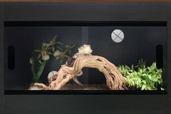 Terapod Slim Vivarium, Black 24