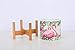 Ceramic Plant Pot Small Planter Flamingo Flower Pot with Wood Plant Stand Plant Pot Holder, 4.3 