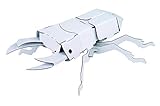 hacomo Kids Stag Beetle 2 Cardboard Craft