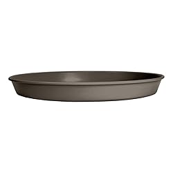 The HC Companies 7 Inch Round Prima Plastic Plant