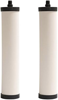 Franke FRX02 Undersink Water Filtration Filter for FRCNSTR, Chlorine (Pack of 2)