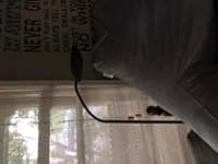 Review Image by SalesTaxAccountant SalesTaxAccountant