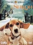[DVD]ビーグル犬 シャイロ 特別版
