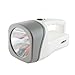 Dorcy 23-Lumen Failsafe Rechargeable LED Flashlight Lantern with Built-In AC Charging Adaptor, White (41-1033)