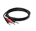 Hosa STP-201 Insert Cable, 1/4 Inch TRS to Dual 1/4