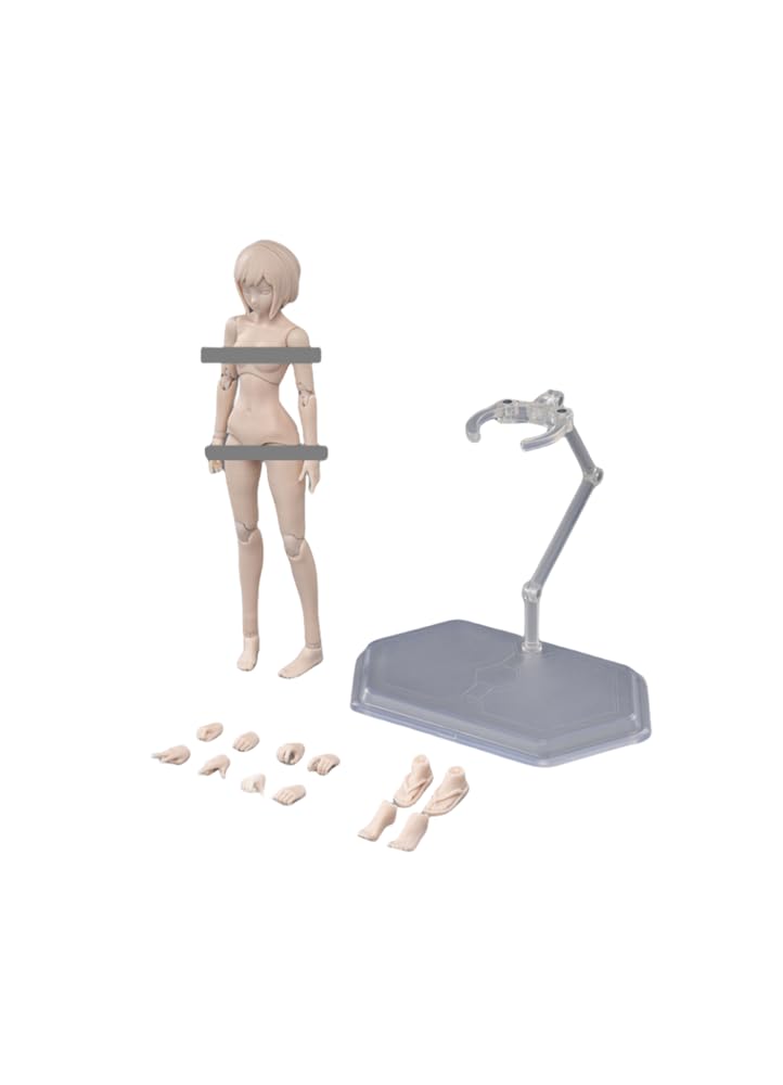 HiPlay TBLeague 1:12 Scale Female Half-Seamless Action Figure Body -Tall and Plump Body Shape, Small Bust and Fair skin T86-ST01A