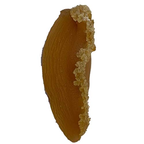 3 Dried+Seafood+Supreme+Dalian+Abalone