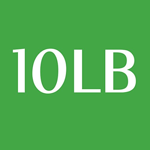 RitFit Single Resistance Exercise Band with Comfortable Handles - Ideal for Physical Therapy, Streng - //coolthings.us