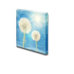 White Dandelions Gleaming in The Sunlight Wall Decor