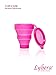 Sterilizer Foldable Made Silicone For All Types of Menstrual Cup by Lybera