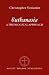 Euthanasia: A Theological Approach