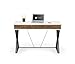 Whalen Samford Contemporary Computer Desk