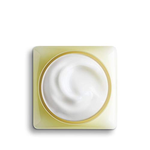 L'Occitane Citrus Verbena Sorbet Body Cream 8.8Oz