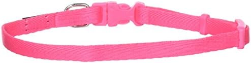 Coastal Pet Products DCP222NPK 5/16-Inch Nylon Pals Dog Collar, X-Small, Neon Pink