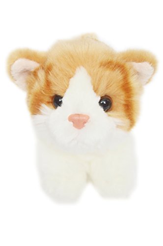 Ginger Snaps Kitten For American Girl Dolls by My Brittany's