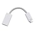 Ebest Mini DVI Male to HDMI Female Video Adapter Cable for Apple MacBook, iMac,12-inch PowerBook G4