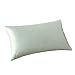 ALASKA BEAR Natural Silk Pillowcase, Queen (1pc, Mint Green)