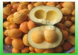 Pequi Oil (Caryocar Braziliense) - 16 Oz (1 lb) - Unrefined Vegetable Oil - Wholesale Price and - Pr