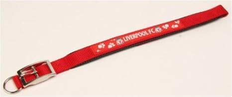 liverpool fc dog collar