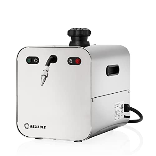Reliable 4100CJ 2.2L Jewelry Steam Cleaner with Eco Mode, 120V, 50 PSI, Stainless Steel Tank, External Long Life Heating Element, 4 Safety System, Made in Italy