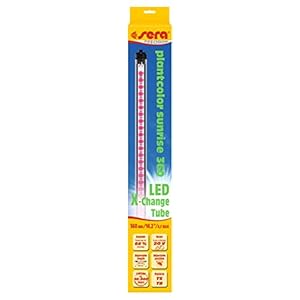 LED Plantcolor Sunrise – plantenlicht voor kleurversterking voor optimale plantengroei., modern, 360 mm / 111 lm / 4,3 W