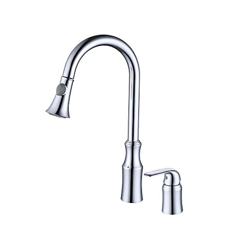 Top 10 Best Commercial Kitchen Faucets Sanitary Top Reviews No