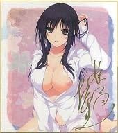 Amazon Lovely Cation2 出水和琴 唯々月たすく イラスト色紙 あかべぇそふとつぅ色紙 C84グッズ 特典 予約特典 アニメ 萌えグッズ 通販