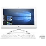 HP Pavilion 19.5 Inch All-in-One Premium Flagship Desktop Computer (Intel Dual Core Celeron J3060 1.6GHz, 4GB RAM, 1TB HDD, DVD, HDMI, USB 3.0, Webcam, Wifi, Windows 10) (Certified Refurbished)