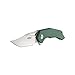Firebird GANZO FH61-GB Pocket Folding Knife Razor Sharp D2 Steel Blade Ergonomic G10 Anti-Slip Handle with Clip Hunting Fishing Camping Gear Outdoor Folder EDC Pocket Knife (Green)