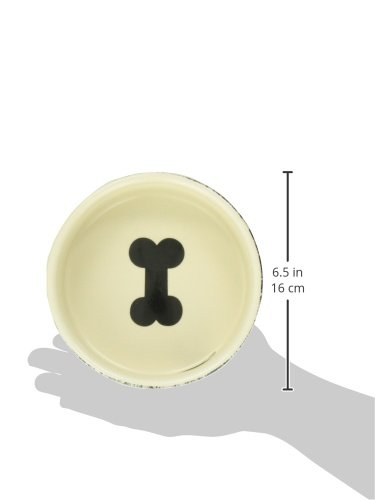 PetRageous-35-Cup-Water-Vintage-Pet-Bowl-6-Inch-BlackNatural