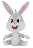 Looney Tunes Baby 6