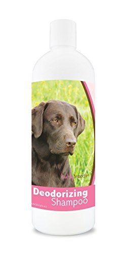 Healthy Breeds Dog Deodorizing Shampoo for Labrador Retriever - Over 80 Breeds - For Itchy, Sensitive, Dry, Flaking, Scaling Skin and Coat – Hypoallergenic Formula and pH Balanced – 16 oz