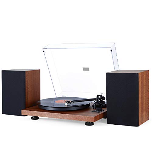 1byone classic wooden turntable