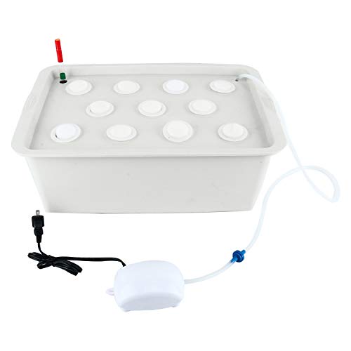 Homend Indoor Hydroponic Grow Kit with Bubble Stone, 11 Sites (Holes